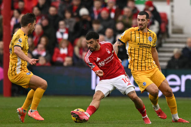 军往往会掩 军往往会掩